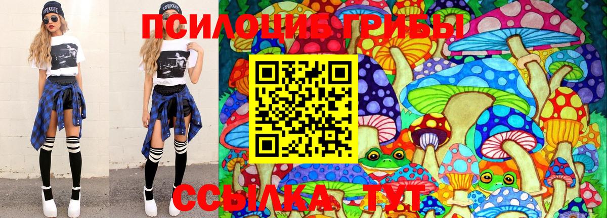 Красногорск  Псилоцибиновые грибы MAGIC MUSHROOMS  Вход с VPN 