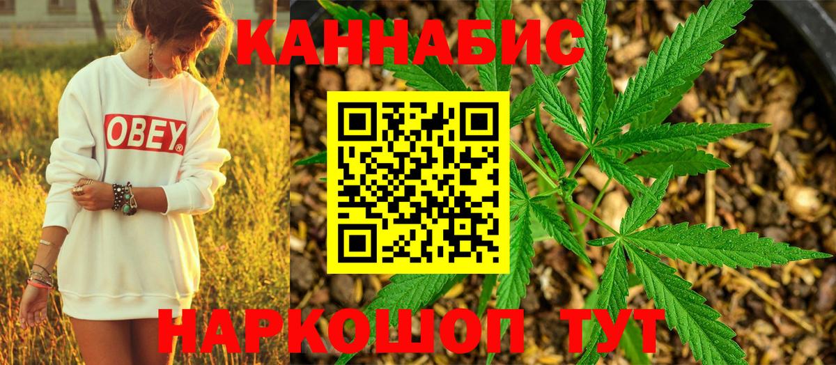 Бошки марихуана планчик Красногорск